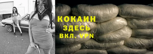 гашик Абаза